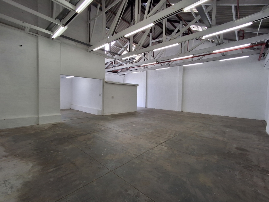 To Let Commercial Property for Rent in Arcadia Eastern Cape
